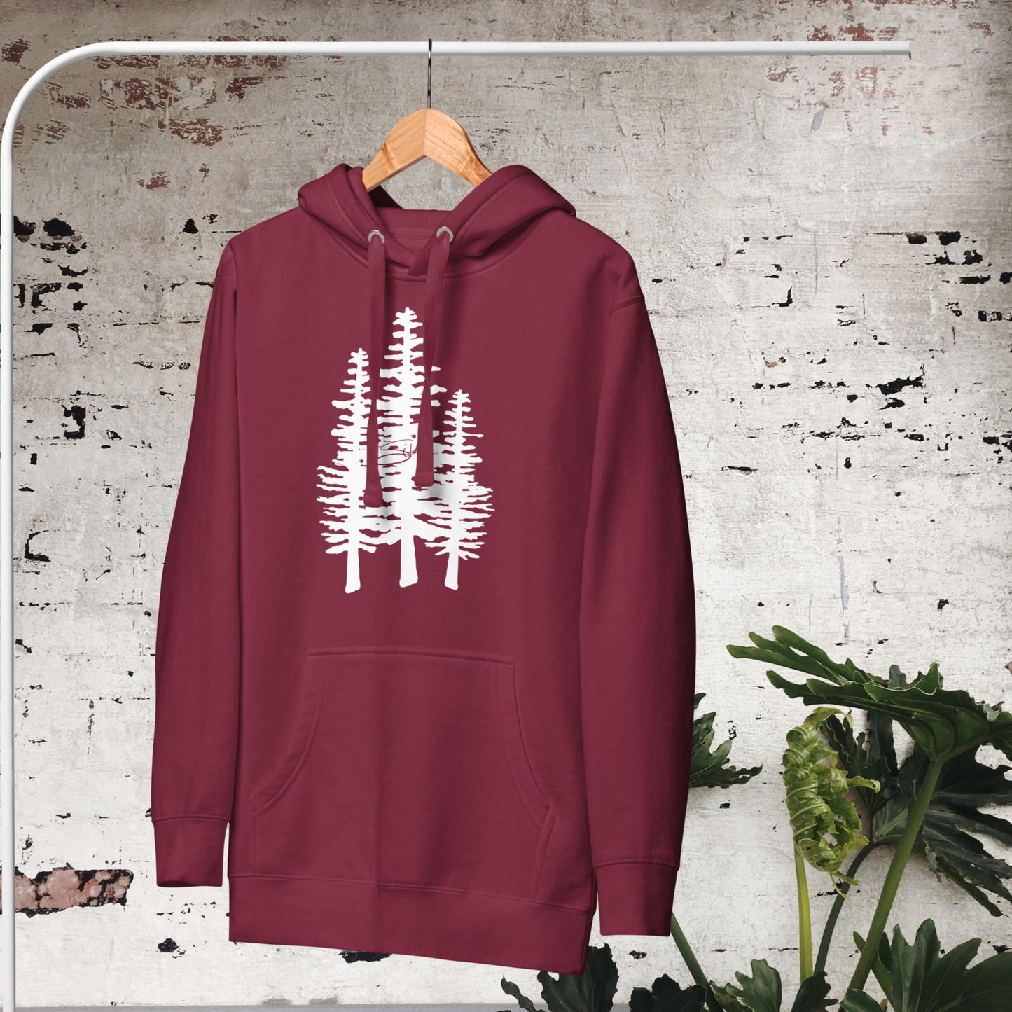 Sitka Forest
