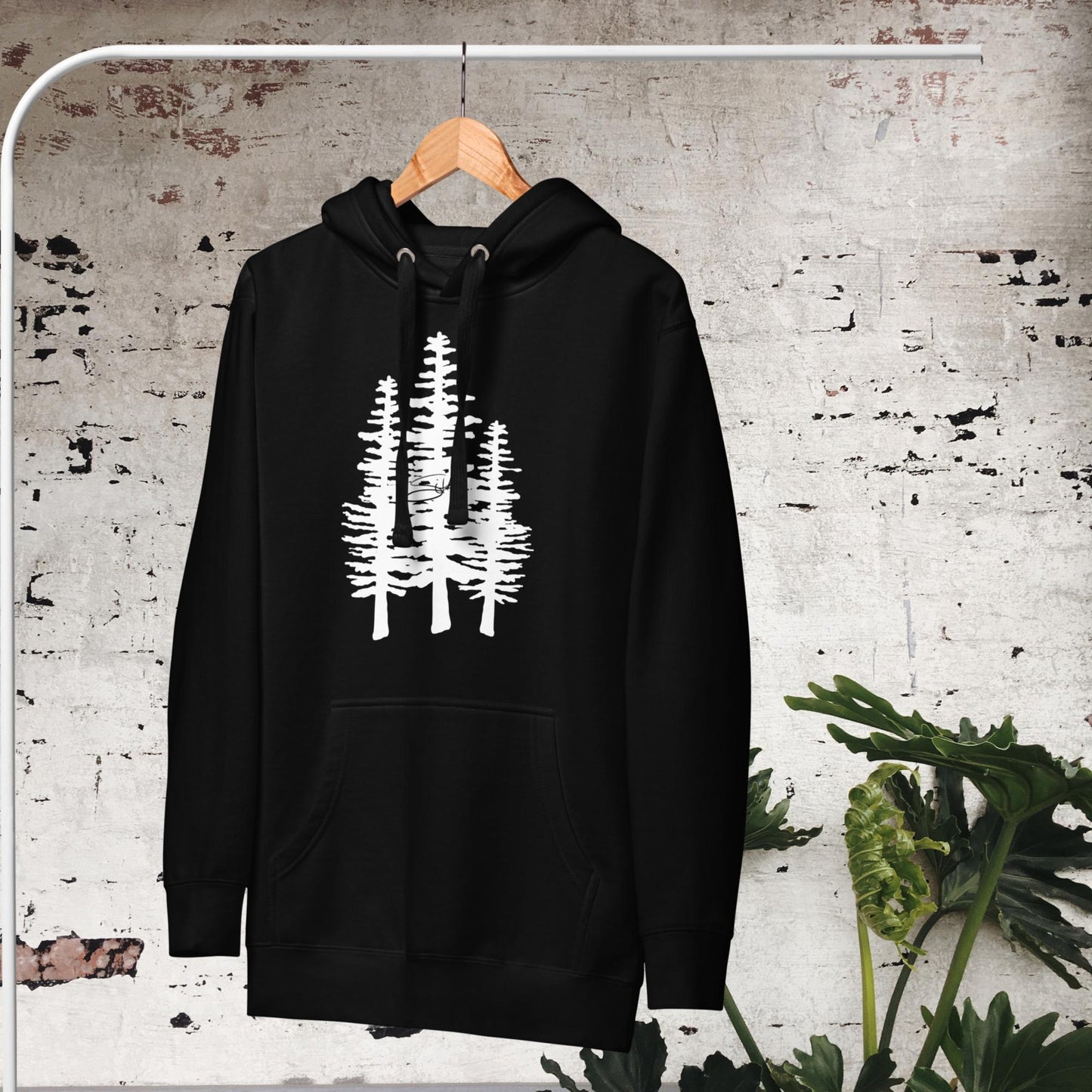 Sitka Forest