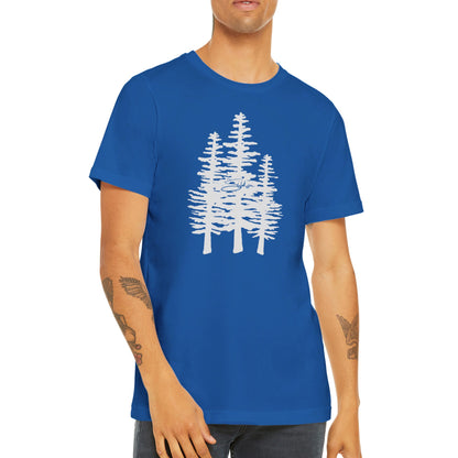 Sitka Forest