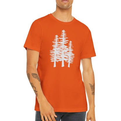 Sitka Forest